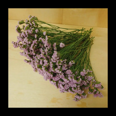 無くなり次第終了　✨スターチス ピンク 　100本　40㎝～50㎝　ドライフラワーの画像