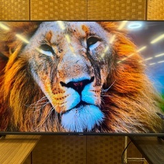 ジモティー特別価格🉐YAMAZEN製★50型チューナーレス液晶テレビ★2024年製★1年間保証付きの画像