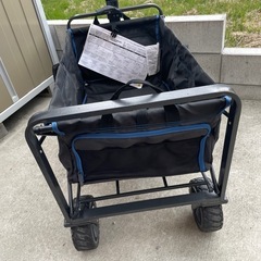 ワゴン　キャリー　大きめ
の画像