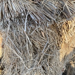 藁　マルチング　ガーデニング　防草　畑　土壌改善の画像