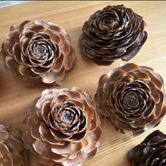 シダーローズ　　薔薇ぼっくり　30個の画像