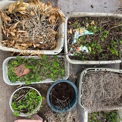 配達設置無料 0円 ガーデニング 土 プランター 11点セットの画像