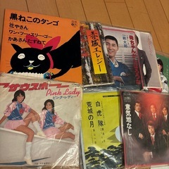 レコード17枚の画像