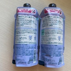 メリットシャンプー2点の画像