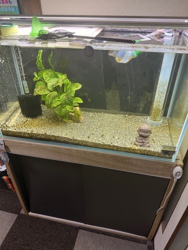 オーバーフロー水槽90*45*5090*45*50 (小虫) 鴻池新田のその他の中古