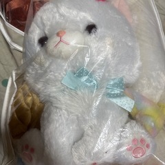 ぬいぐるみ、沢山の画像