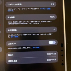 iPad Pro M4 256gb Wi-Fiモデルの画像