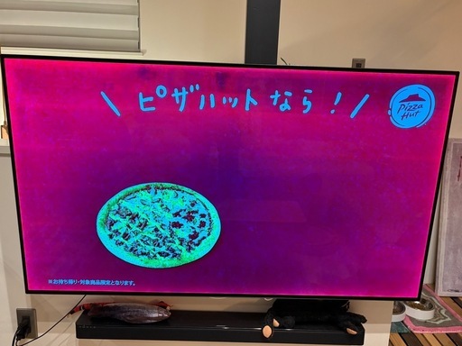 LG 有機ELテレビ 本体 ジャンク 2025年最新】Yahoo!オークション -lg テレビ ジャンクの中古品・新品