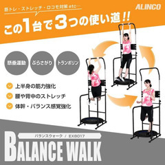 家庭用懸垂器/ぶら下がり器 トランポリン付きALINCO バランスウォーク（EX8017） ※無料の画像