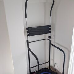 家庭用懸垂器/ぶら下がり器 トランポリン付きALINCO バランスウォーク（EX8017） ※無料の画像