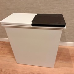 【美品】分別用ゴミ箱の画像