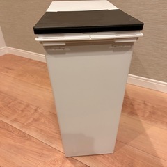 【美品】分別用ゴミ箱の画像