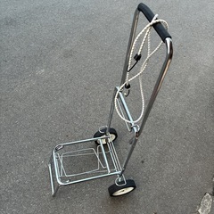 キャリーの画像