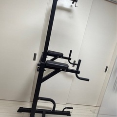 STEADY  懸垂マシンの画像