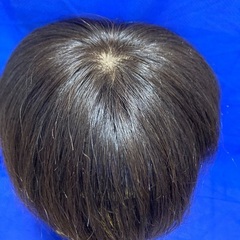 ウイング　人毛　100パーセント　中古の画像