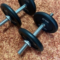 【IROTEC(アイロテック)】アイアン ダンベル60KGセット（片手30kg×2個) の画像