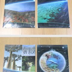 LION（ライオン）BBC　クリアーホルダー PCH-4（20枚）・PCH7（19枚） クリアーブック　PCB-1（6個）・PCB-2（4個）　未使用の画像