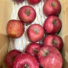 さんふじ　１個　100円の画像