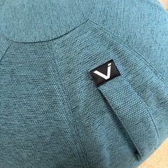  ♢美品  Vivora 【ビボラ バランスボール】の画像