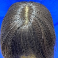 ウイング　ロング　茶系　中古の画像