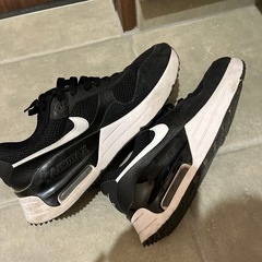NIKE(ナイキ)AIR MAX SYSTEM US10の画像
