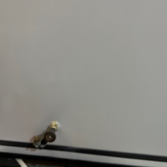 サンダイヤ 200型 ホームタンク KS1-201N 容量188L 屋内外共用タイプ 中はサビ無し 蓋付き 灯油タンク オイルタンク 中古品 ④の画像