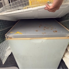 近場配送無料！冷凍庫の画像