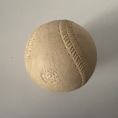 NAIGAI ソフトボール
の画像