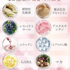 Vanoble エクオール10mg 大豆イソフラボン30mg サプリメント GABA マカ 高麗人参 α-リポ酸 アスタキサンチン 植物乳酸菌 ヒアルロン酸 ビタミンB群 美容サポート GMP認定工場 30日分60粒の画像