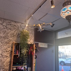 12/21日】日払手渡1万★引越、配送関係経験者の画像