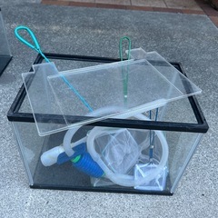 水槽6店➕救網の画像