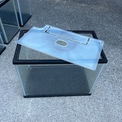 水槽6店➕救網の画像