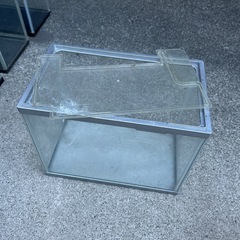 水槽6店➕救網の画像