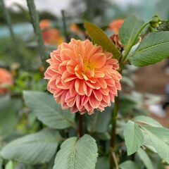 人生に迷っている人の話聞きます