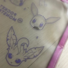 ポケモン　ファイル　の画像