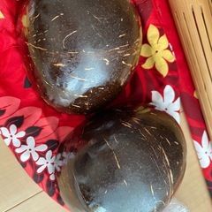 フラ楽器の画像