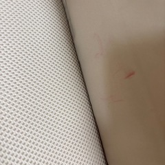 アップリカ　ココネルエアー　ベビーベッド　ソフト　持ち運び　新生児　ココアの画像