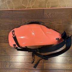 アルトサックスケース　CC Shinyの画像