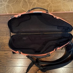 アルトサックスケース　CC Shinyの画像