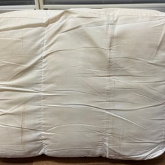 KARIMOKU 元ソファのクッション　肉厚5個まとめて　おもちゃの画像