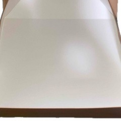 マイケルコース箱大きめの画像