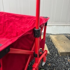 コールマン　訳ありの画像