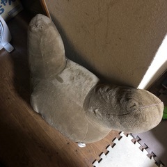 クッションの画像