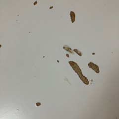 IKEA 折り畳みダイニングテーブル　29日以降受け渡しの画像