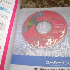 macromedia FLASH ActionScriptス: 実力派をめざすための極上サンプル満載 FLASH MX完全対応 [tankobon_hardcover] 大重 美幸 [Dec 01, 2002]の画像