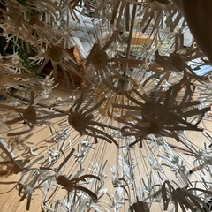 ライト　照明の画像