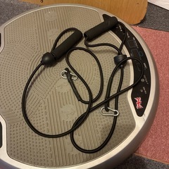 ボディスカルプチャーパワーウェーイスタツイストエクササイズマシーンの画像