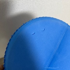 フォムローラーの画像