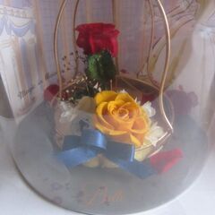 美女と野獣 アクリルライト 赤色＆ブリザーブドフラワーカインズ限定品の訳アリ２点セットの画像