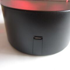 美女と野獣 アクリルライト 赤色＆ブリザーブドフラワーカインズ限定品の訳アリ２点セットの画像